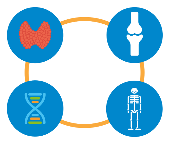 Symptoms cycle